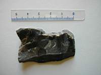 33-Chamadelle-Gl- (5recto).JPG